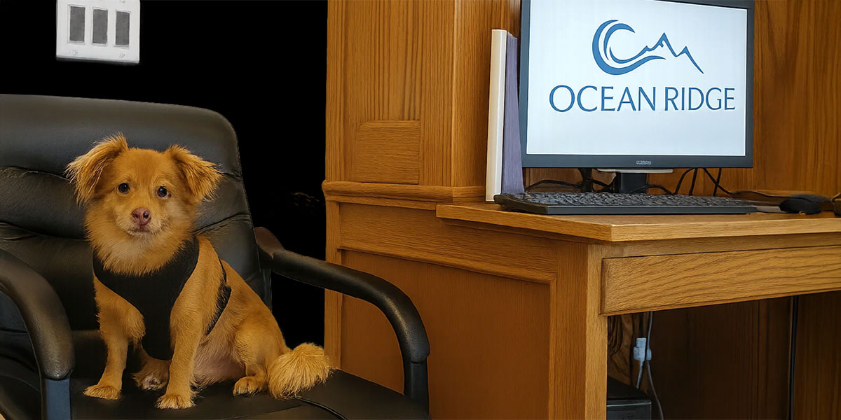 Pet-Friendly Rehab in California: Bring Your Pet to Addiction Treatment
