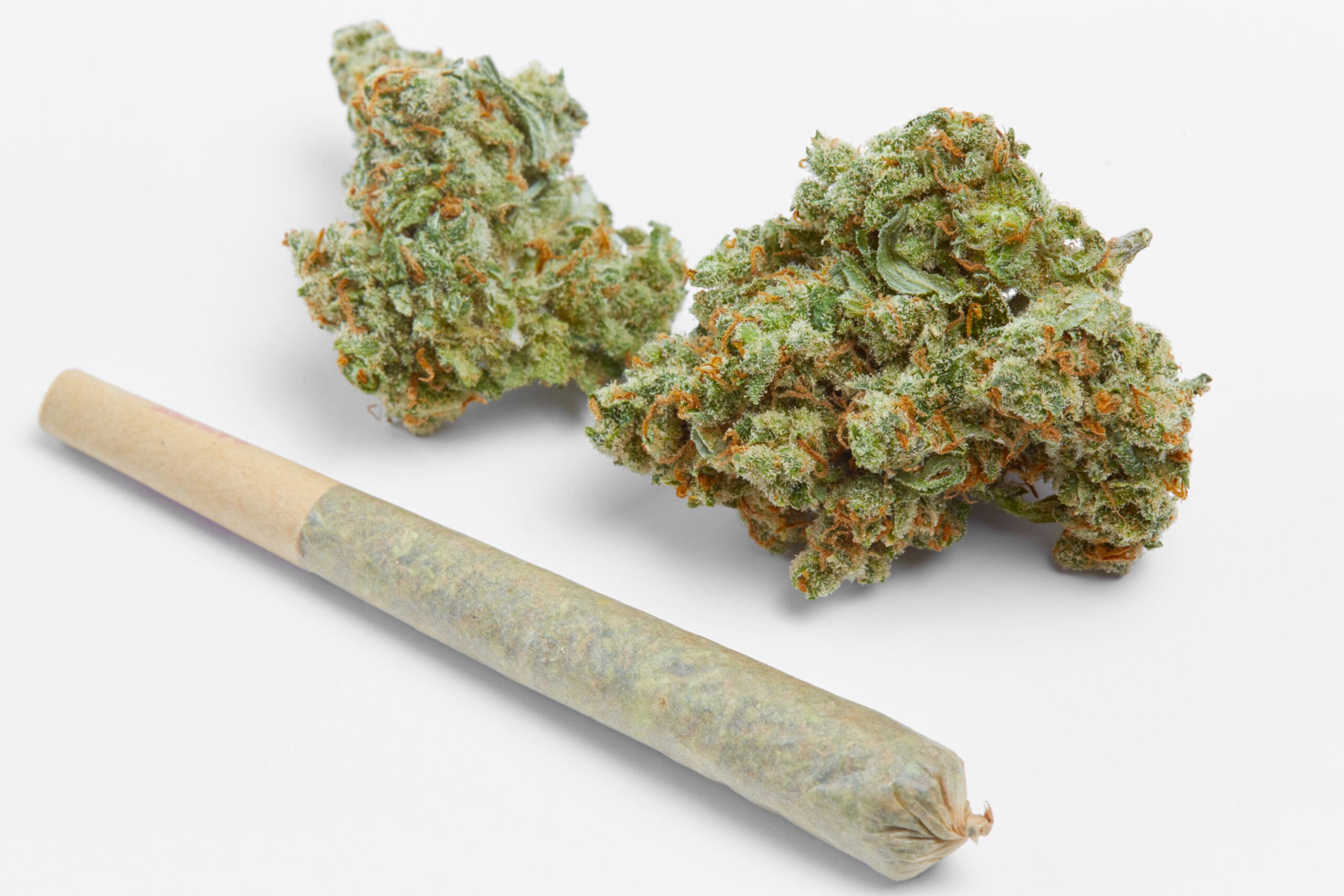What Is Marijuana