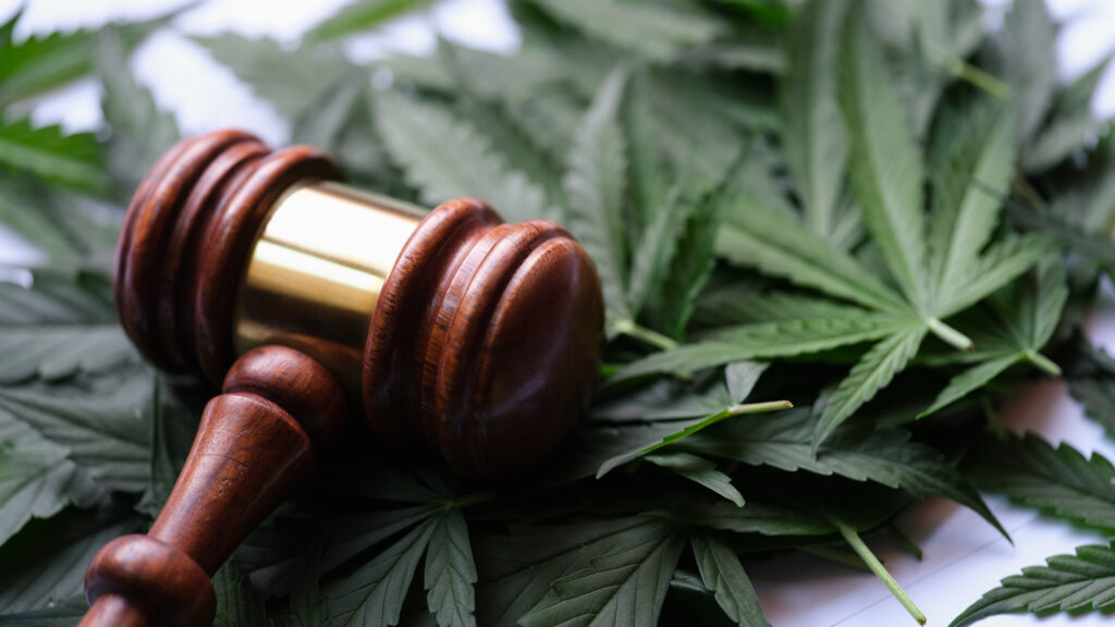 Marijuana Legalization and Employment Laws